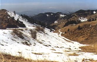  Monte Colombera neighbourhood at 1400m MSL 