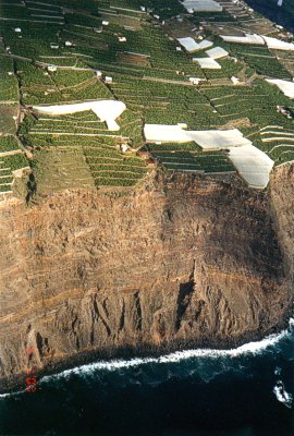  The banana plantations on the edge of the cliff near Puerto de Tazacorte 