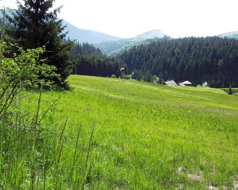  Landing place near Donovaly village 