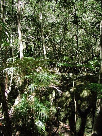  Prales, romantika k nakousnut� 