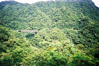  Most z vlaku 