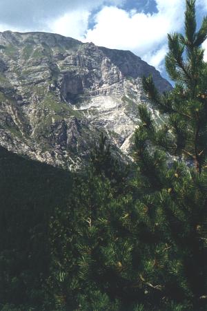  Eastern slope of Monte Vettore 