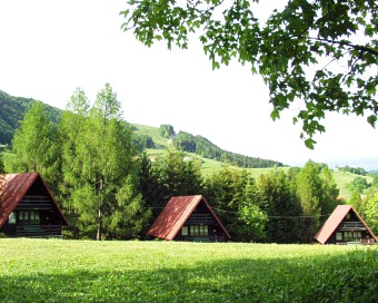  V kempu Kamz�k 