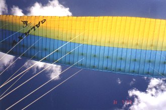  Jedovat� zv��e na pohled, ve skute�nosti mazl��ek 