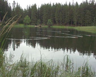  Vrbick� pleso 