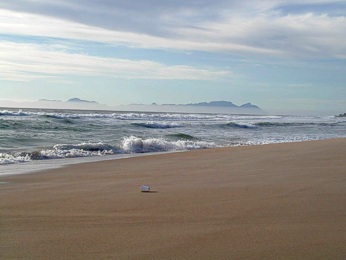  Pl� z po cest� z Gordon's Bay do Hermanusu 