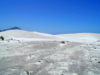  Betty's Bay - duny u mo�e 