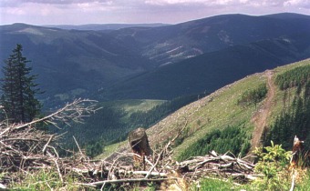  Kamenec 