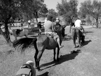  Horse trekking v Roda 