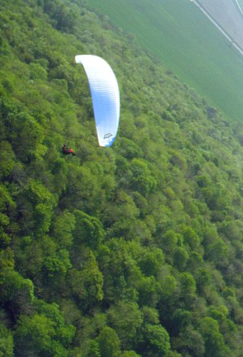  Meep-meep nad Pohanskou 