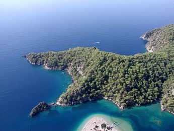  Hlava draka �i je�t�ra (�i co)??? 