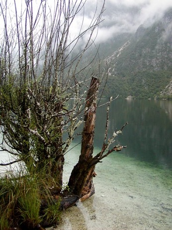  Bohinjsk� jezero 