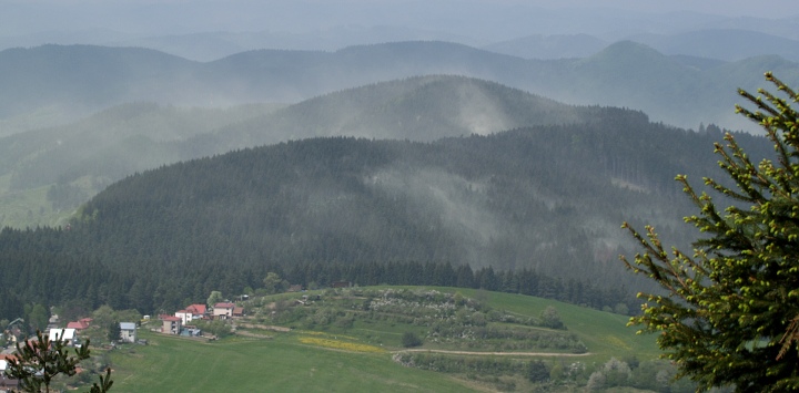  Strong wind sends up clouds of a yellow pollen dust from surrounding forests 