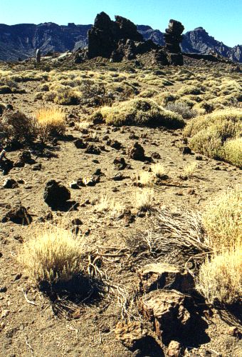  Na zem Parque Nacional del Teide 